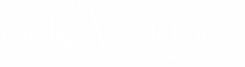 identité visuelle Belle Vaudoise